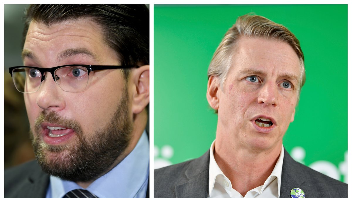 Per Bolund (MP) står fast vid att Sverigedemokraterna är ett "brunt" parti.